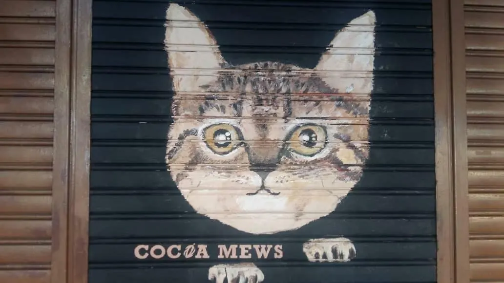 Pensión Cocoa Mews Cafe And Homestay George Town